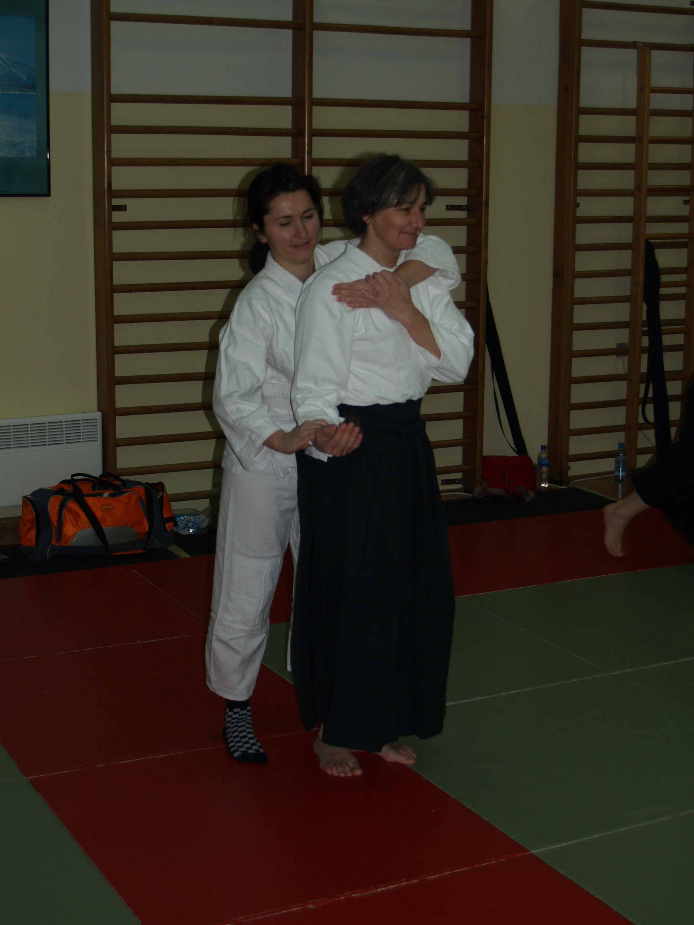 Aikido, seminar Alesa Leskovseka u AK Donat