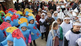 Virski karnevalić 2016. Virski karnevalić 2016.