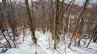 Đir do vrha Zečjak na sjevernom Velebitu, Foto: Leo Banić