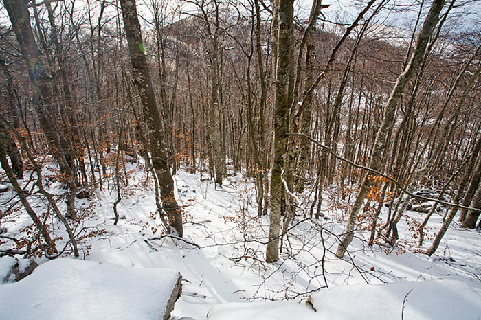 Đir do vrha Zečjak na sjevernom Velebitu, Foto: Leo Banić