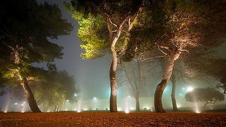 Nesto lijepo i do magle