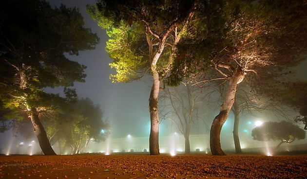 Nesto lijepo i do magle