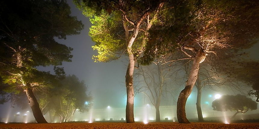 Nesto lijepo i do magle