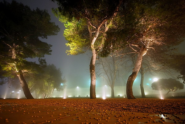 Nesto lijepo i do magle