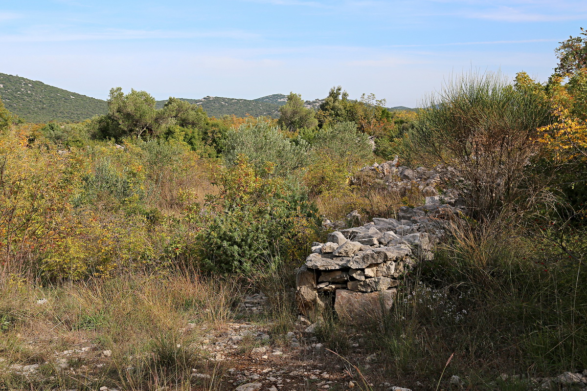 PP Vransko jezero: Akcija obnavljanja starog puta prema lokvi Benči PP Vransko jezero: Akcija obnavljanja starog puta prema lokvi Benči