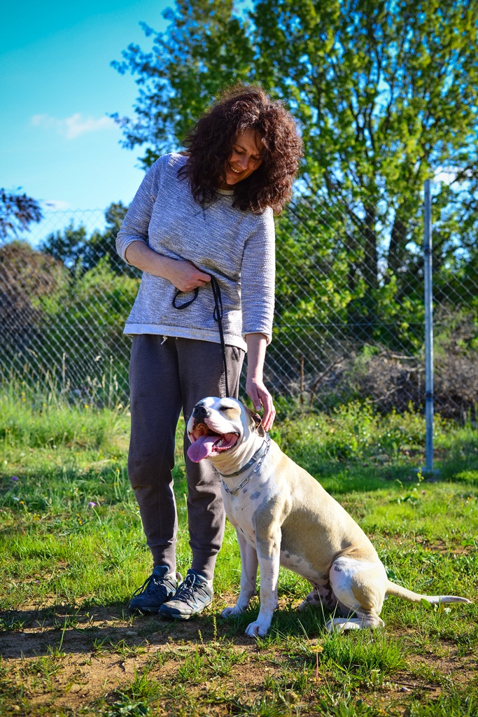Kinološka udruga Malinois
