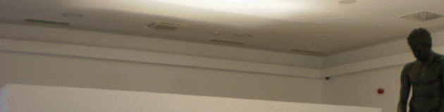 Savjet mladih Grada Zadra