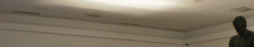 Savjet mladih Grada Zadra