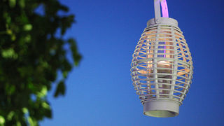 Otvorenje terase Callista Bara Otvorenje terase Callista Bara