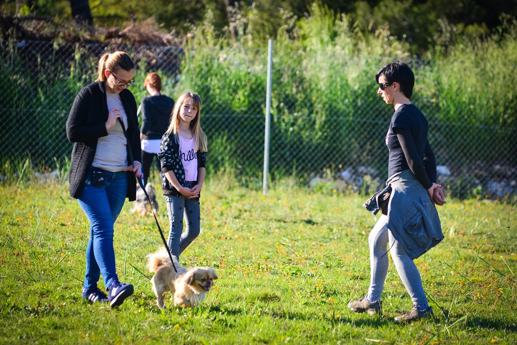 Kinološka udruga Malinois
