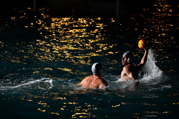 VAK”AN”ZA 31%, finale: Reptili – Nesvrstani 2-4 VAK”AN”ZA 31%, finale: Reptili – Nesvrstani 2-4