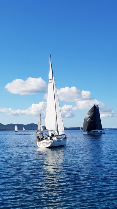 Zadarska Koka 2016. 22. listopada 2016. Foto: Mladen Malik Zadarska Koka 2016. 22. listopada 2016. Foto: Mladen Malik