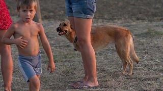 Polača: 14. Međunarodne konjičke utrke “Oluja 95”, Foto: Leo Banić Polača: 14. Međunarodne konjičke utrke “Oluja 95”, Foto: Leo Banić
