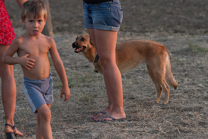 Polača: 14. Međunarodne konjičke utrke “Oluja 95”, Foto: Leo Banić Polača: 14. Međunarodne konjičke utrke “Oluja 95”, Foto: Leo Banić