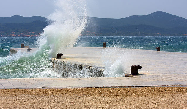 Image 1118521 (auto)