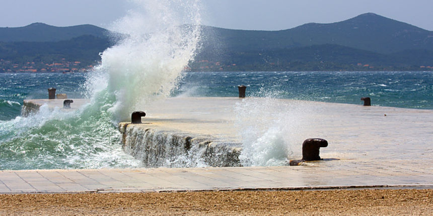 Image 1118521 (auto) Image 1118521 (auto)