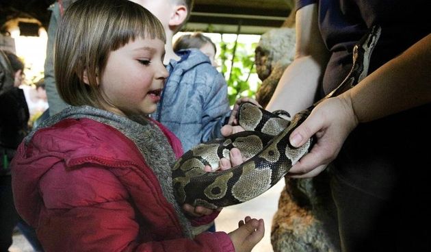 U povodu Svjetskog dana divljih vrsta, zagrebacki ZOO organizirao edukativni program za gradjane