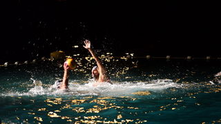 VAK”AN”ZA 31%, finale: Reptili – Nesvrstani 2-4 VAK”AN”ZA 31%, finale: Reptili – Nesvrstani 2-4