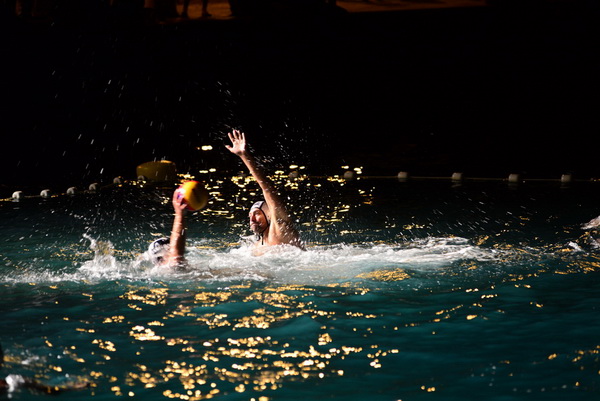 VAK”AN”ZA 31%, finale: Reptili – Nesvrstani 2-4 VAK”AN”ZA 31%, finale: Reptili – Nesvrstani 2-4