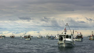Umag, Savudrija, 071109.
Ribarski konvoj organiziran zbog protivljenja arbitraznom sporazumu sa Slovenijom smatrajuci da bi njegovom primjenom Hrvatska mogla ostati bez dijela svog teritorijalnog mora juznije od crte sredine Savudrijske vale. Prosvjedoval Umag, Savudrija, 071109.
Ribarski konvoj organiziran zbog protivljenja arbitraznom sporazumu sa Slovenijom smatrajuci da bi njegovom primjenom Hrvatska mogla ostati bez dijela svog teritorijalnog mora juznije od crte sredine Savudrijske vale. Prosvjedoval