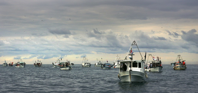 Umag, Savudrija, 071109.
Ribarski konvoj organiziran zbog protivljenja arbitraznom sporazumu sa Slovenijom smatrajuci da bi njegovom primjenom Hrvatska mogla ostati bez dijela svog teritorijalnog mora juznije od crte sredine Savudrijske vale. Prosvjedoval Umag, Savudrija, 071109.
Ribarski konvoj organiziran zbog protivljenja arbitraznom sporazumu sa Slovenijom smatrajuci da bi njegovom primjenom Hrvatska mogla ostati bez dijela svog teritorijalnog mora juznije od crte sredine Savudrijske vale. Prosvjedoval