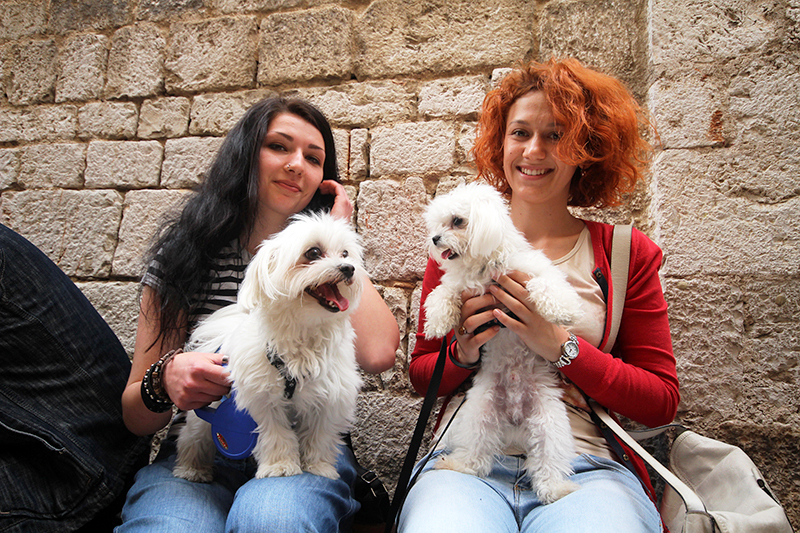 Subotnji šušur u gradu 27. travnja 2013. Foto: Mia Čop Subotnji šušur u gradu 27. travnja 2013. Foto: Mia Čop