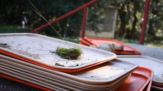 Devastirana bivša vojna baza Šepurine, Foto: Iva Idassa Devastirana bivša vojna baza Šepurine, Foto: Iva Idassa