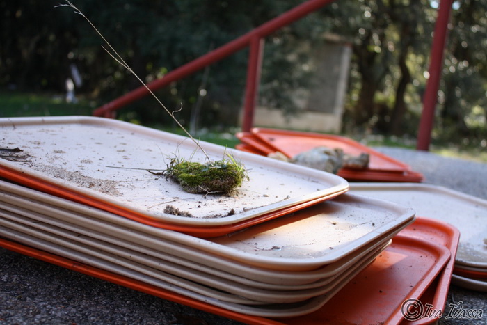 Devastirana bivša vojna baza Šepurine, Foto: Iva Idassa Devastirana bivša vojna baza Šepurine, Foto: Iva Idassa