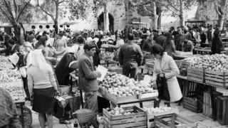 Ante Brkan – Na tržnici