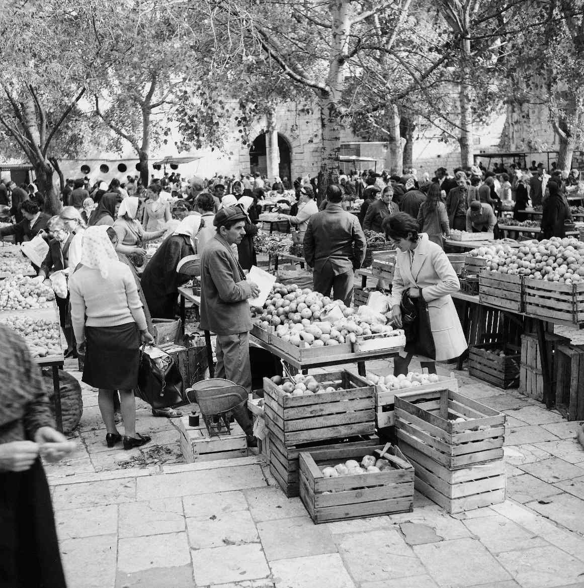 Ante Brkan – Na tržnici