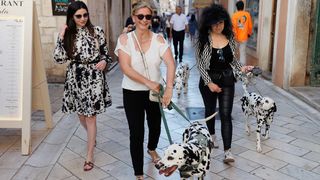 Red Carpet Dalmatian Walk @Trg pet bunara Red Carpet Dalmatian Walk @Trg pet bunara