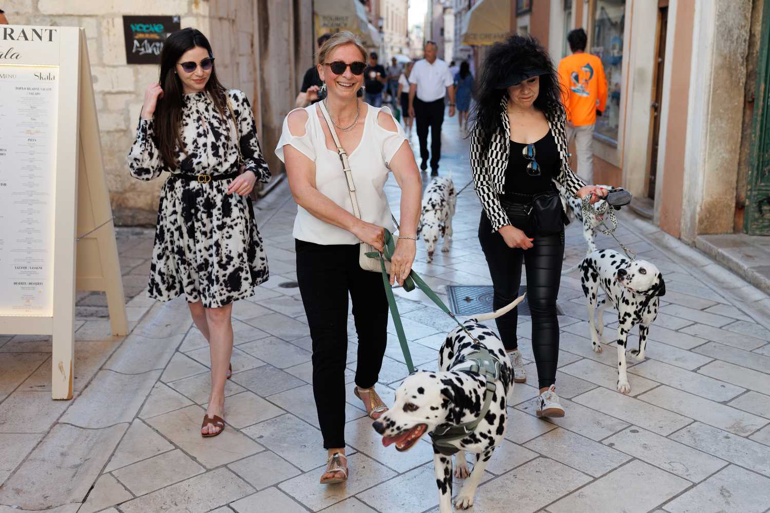 Red Carpet Dalmatian Walk @Trg pet bunara Red Carpet Dalmatian Walk @Trg pet bunara