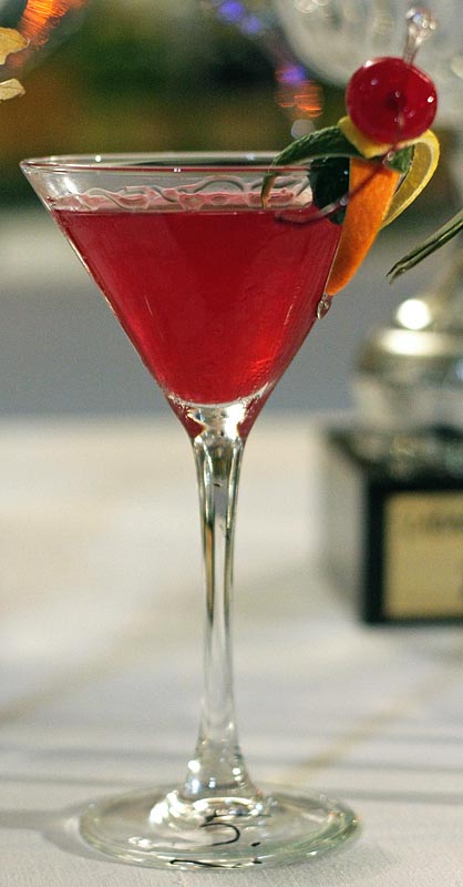 Havana Cup 2009. – 15. regionalno natjecanje barmena (foto: Marin Gospić)