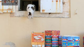 Đir po gradu 20. lipnja 2017.
