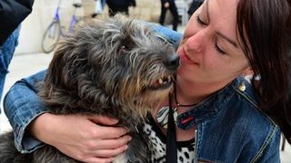 Skup podrške za NO KILL skloništa za životinje,  foto Iva Perinčić