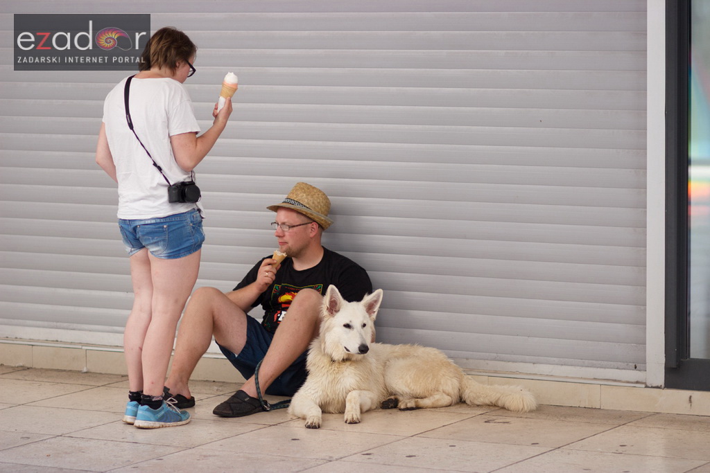 Đir po gradu, petak 13. listopada 2017.