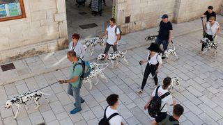 Red Carpet Dalmatian Walk @Trg pet bunara Red Carpet Dalmatian Walk @Trg pet bunara
