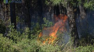 Zemaljske i zračne vatrogasne snage gase veliki šumski požar kod Crvene luke. Foto: Franjo Jurić/eBiograd Zemaljske i zračne vatrogasne snage gase veliki šumski požar kod Crvene luke. Foto: Franjo Jurić/eBiograd