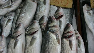 Image 1207663 (auto)