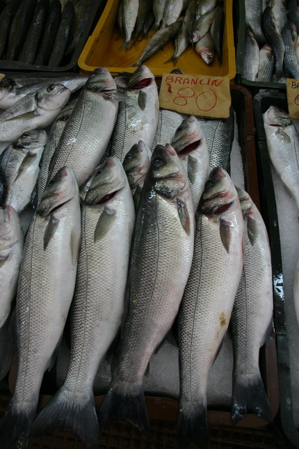 Image 1207663 (auto)