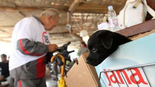 18. Virska biciklijada 18. Virska biciklijada