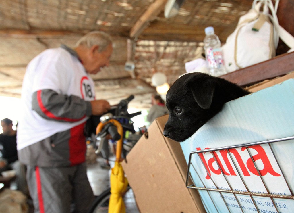 18. Virska biciklijada 18. Virska biciklijada