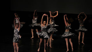 2. Zadarski plesni festival (In Memoriam Nives Šimatović-Predovan)