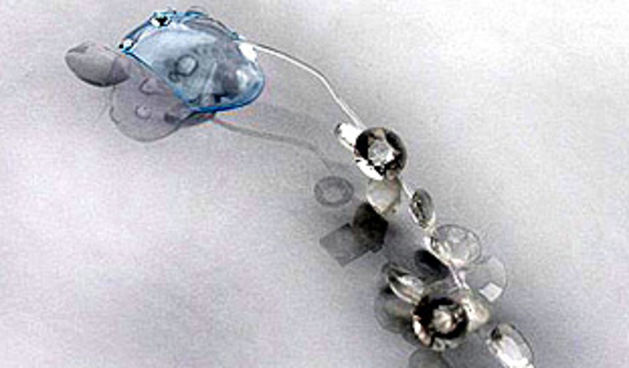 Pogled se ukrašava i nakitom