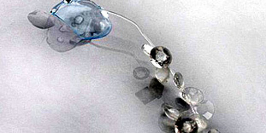 Pogled se ukrašava i nakitom Pogled se ukrašava i nakitom