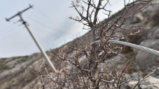 Karlobag: Srušeni stupovi niskonaponske mreže, Foto: Dino Stanin/PIXSELL Karlobag: Srušeni stupovi niskonaponske mreže, Foto: Dino Stanin/PIXSELL