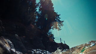 Vis 210812.
Otok Vis jedan je od najudaljenijih hrvatskih otoka koji broji nesto manje od 3 i pol tisuce stanovnika.No u vrijeme turisticke sezone otok postaje omiljena destinacija turistima od kojih je tradicionalno u kolovozu najvise Talijana.Vis ima bo