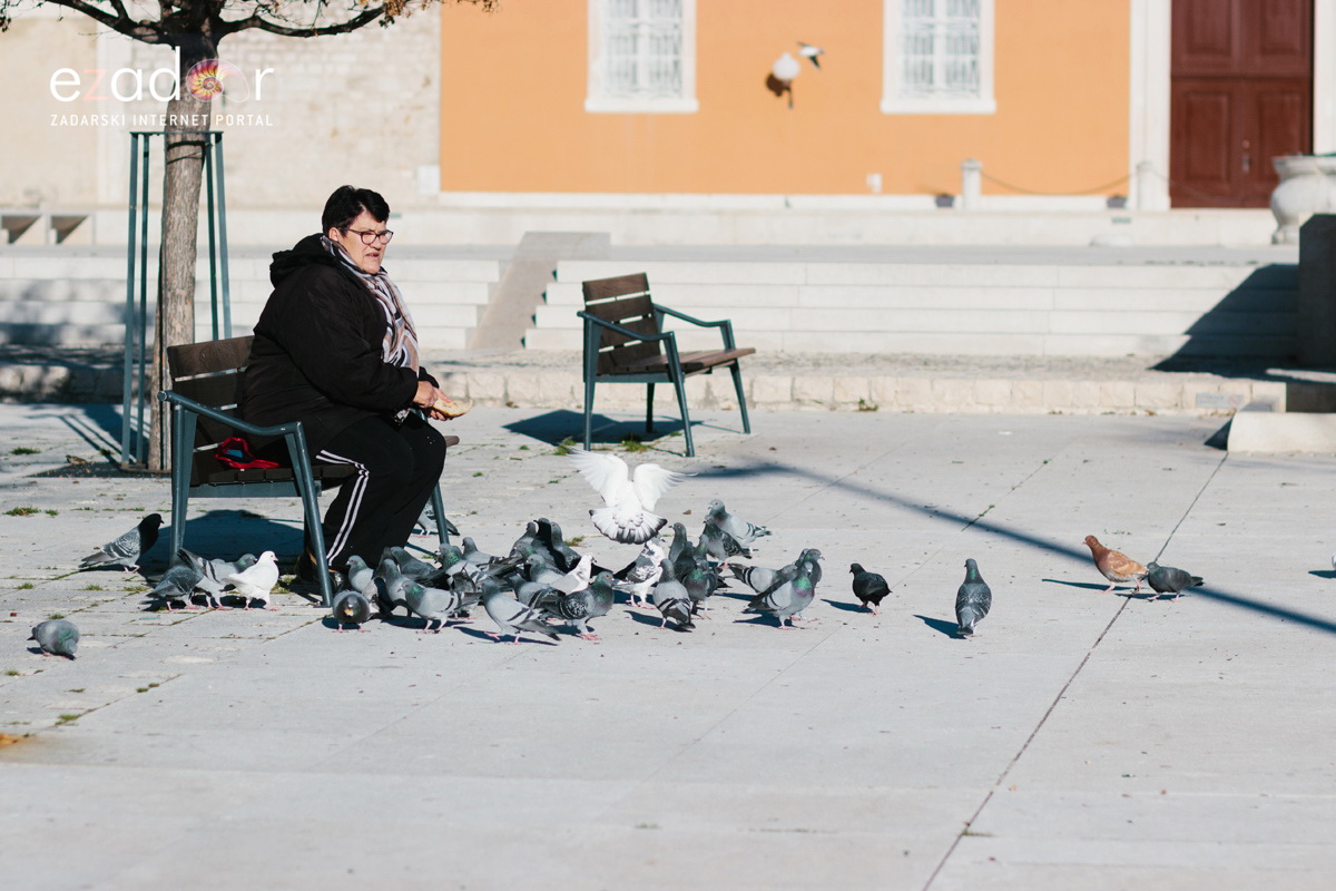 Đir po gradu, petak 22. prosinca 2017. Đir po gradu, petak 22. prosinca 2017.