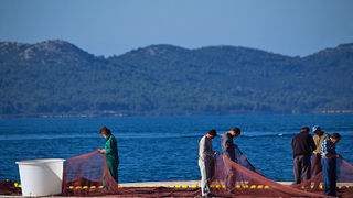 Ribar krpa mrižu svoju (foto:Saša Čuka) Ribar krpa mrižu svoju (foto:Saša Čuka)