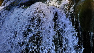 Nedjeljni izlet u Nacionalni park Krka Nedjeljni izlet u Nacionalni park Krka